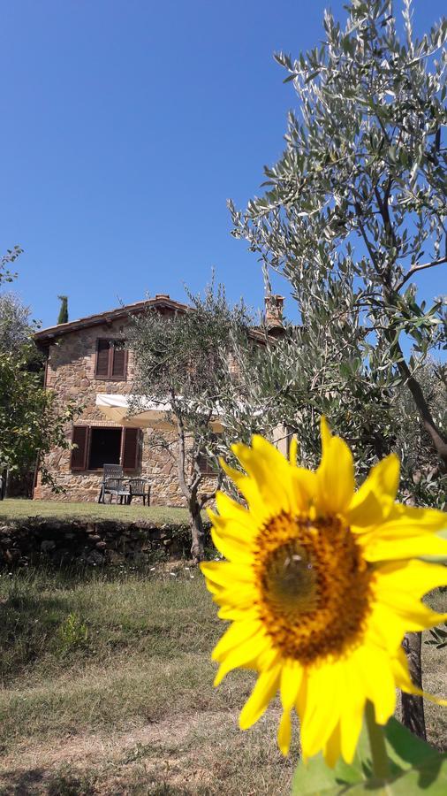 Casa Vacanze Porta Vecchia Montalcino Kültér fotó