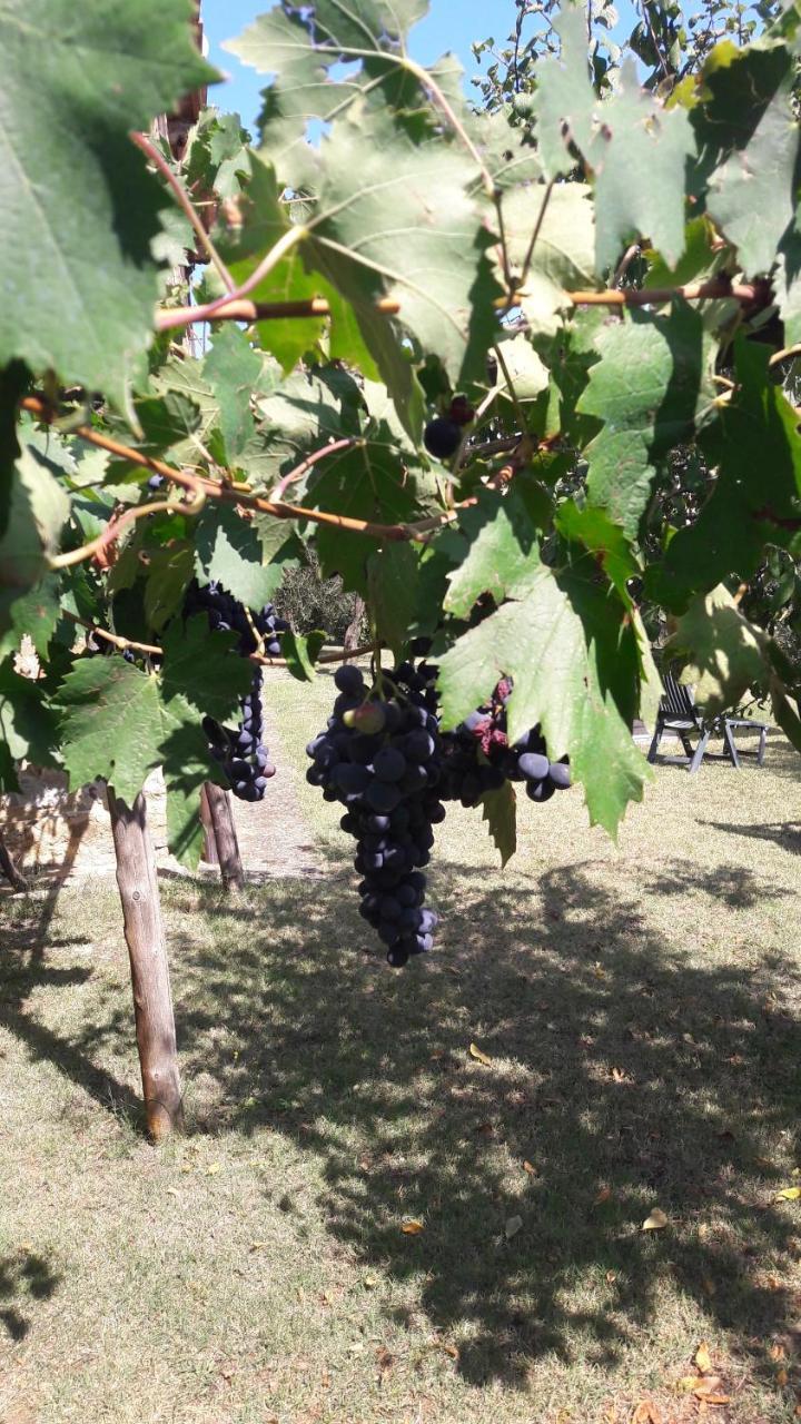 Casa Vacanze Porta Vecchia Montalcino Kültér fotó