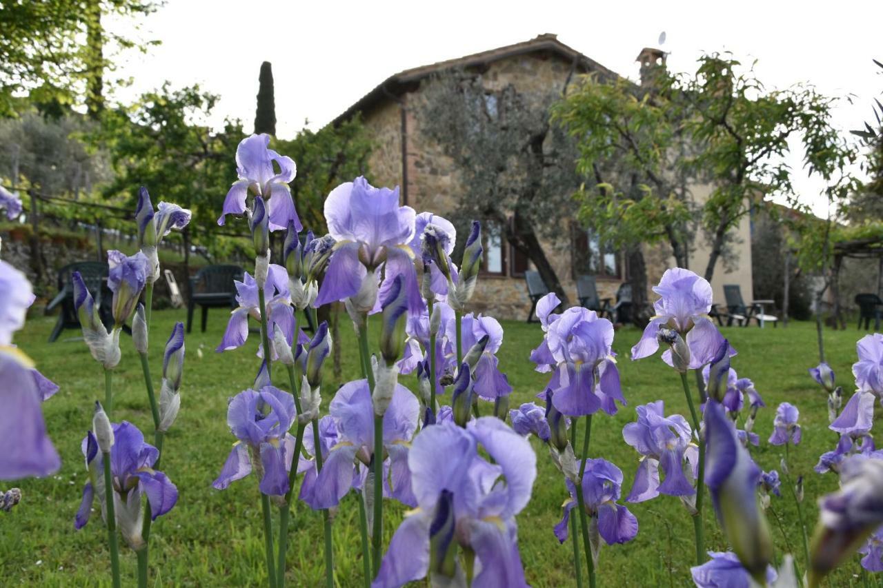 Casa Vacanze Porta Vecchia Montalcino Kültér fotó